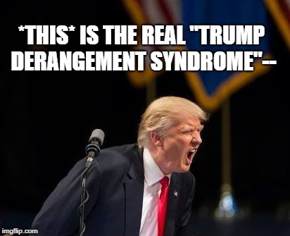 *THIS* IS THE REAL "TRUMP DERANGEMENT SYNDROME"-- | image tagged in deranged trump | made w/ Imgflip meme maker