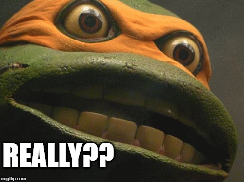 TMNT Mikey | REALLY?? | image tagged in tmnt mikey | made w/ Imgflip meme maker