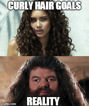 Curly Hair Goals | CURLY HAIR GOALS; REALITY | image tagged in hair,bad hair,curly,hagrid,goals,harry potter | made w/ Imgflip meme maker