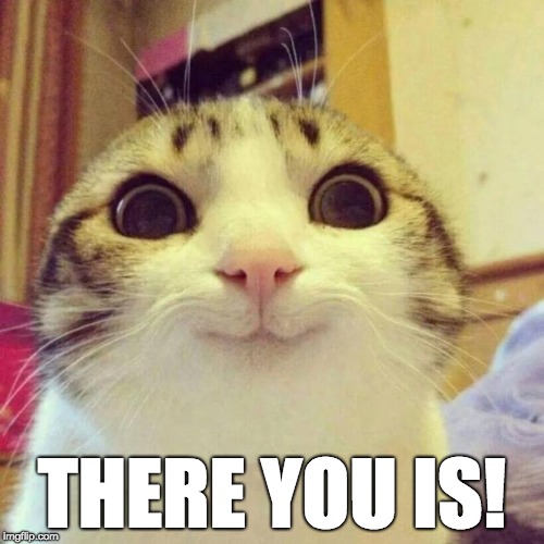 Smiling Cat | THERE YOU IS! | image tagged in memes,smiling cat,lolcat | made w/ Imgflip meme maker