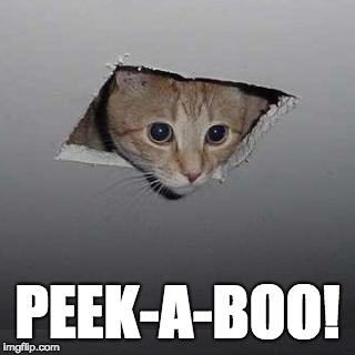 Ceiling Cat | PEEK-A-BOO! | image tagged in memes,ceiling cat,lolcat | made w/ Imgflip meme maker