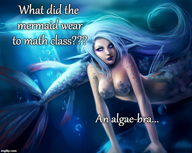 Another bad pun... |  What did the mermaid wear to math class??? An algae-bra... | image tagged in mermaid,algae,math,wear | made w/ Imgflip meme maker