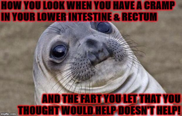 Awkward Moment Sealion Meme | HOW YOU LOOK WHEN YOU HAVE A CRAMP IN YOUR LOWER INTESTINE & RECTUM; AND THE FART YOU LET THAT YOU THOUGHT WOULD HELP DOESN'T HELP! | image tagged in memes,awkward moment sealion | made w/ Imgflip meme maker