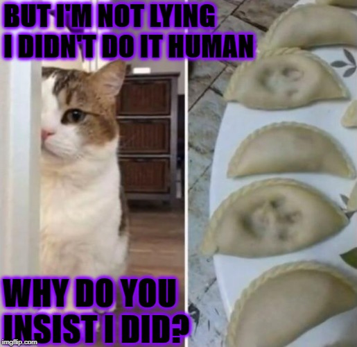 BUT I'M NOT LYING I DIDN'T DO IT HUMAN; WHY DO YOU INSIST I DID? | image tagged in lying turd | made w/ Imgflip meme maker