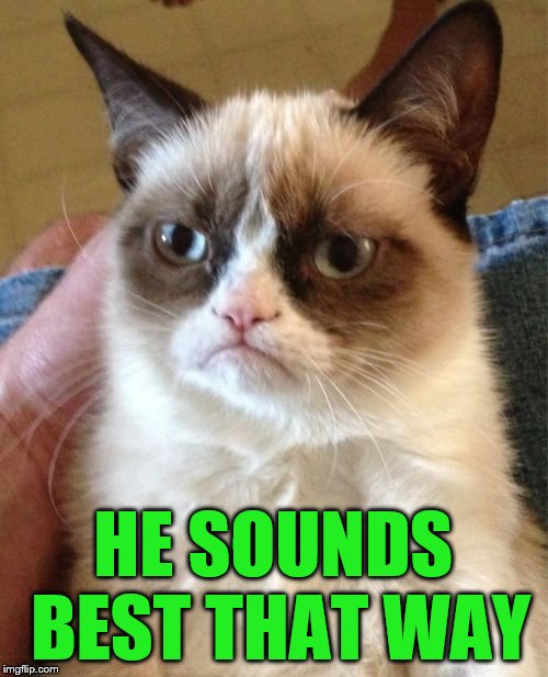 Grumpy Cat Meme | HE SOUNDS BEST THAT WAY | image tagged in memes,grumpy cat | made w/ Imgflip meme maker