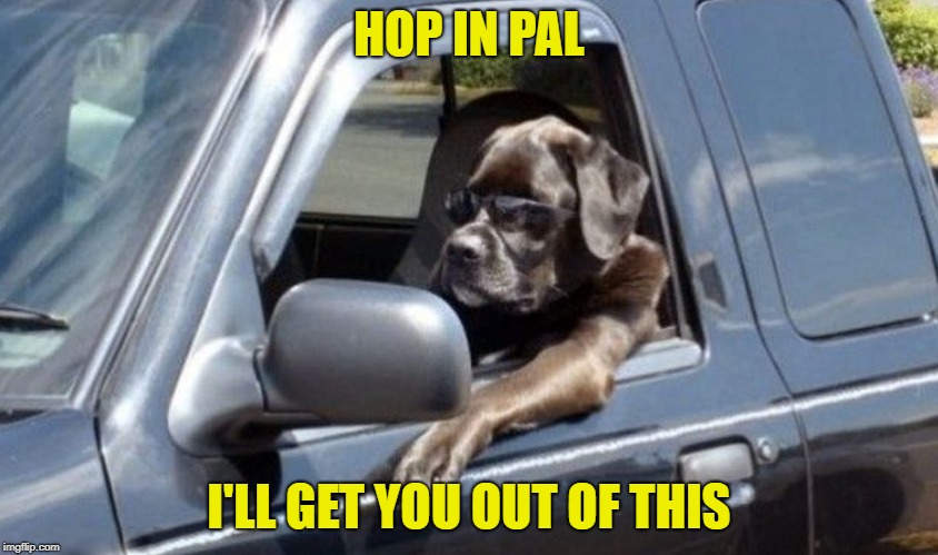 HOP IN PAL I'LL GET YOU OUT OF THIS | made w/ Imgflip meme maker