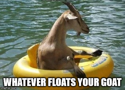 Post what you like .... | WHATEVER FLOATS YOUR GOAT | image tagged in memes,pun,funny,goat | made w/ Imgflip meme maker