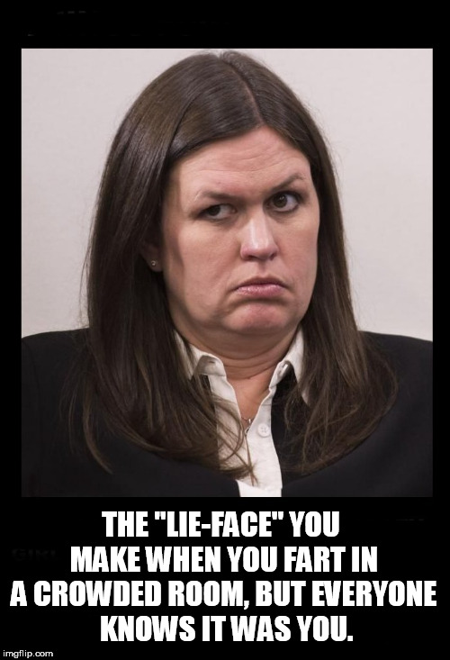 THE "LIE-FACE" YOU MAKE WHEN YOU FART IN A CROWDED ROOM, BUT EVERYONE  KNOWS IT WAS YOU. | image tagged in sarah sanders,sarah huckabee sanders,fart,liar,i farted,poker face | made w/ Imgflip meme maker