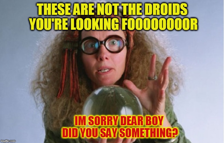 THESE ARE NOT THE DROIDS YOU'RE LOOKING FOOOOOOOOR; IM SORRY DEAR BOY DID YOU SAY SOMETHING? | image tagged in harry potter,funny memes,crazy lady | made w/ Imgflip meme maker