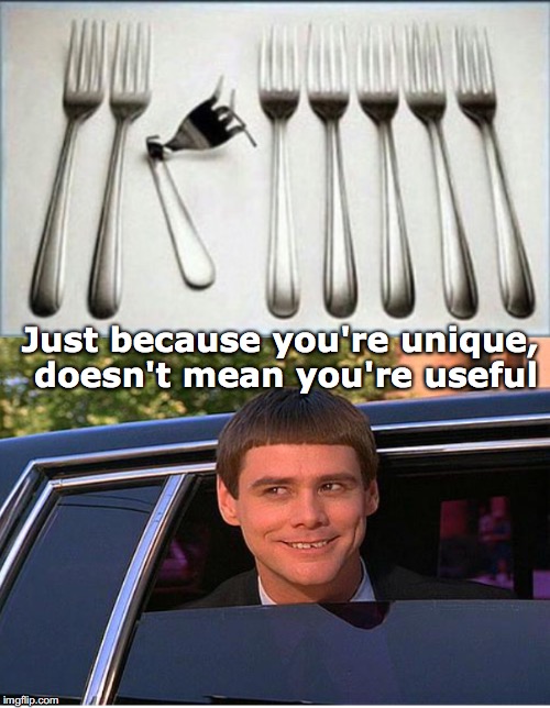 You're Unique | Just because you're unique, doesn't mean you're useful | image tagged in dumb and dumber,fork,unique | made w/ Imgflip meme maker