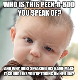 Skeptical Baby Meme | WHO IS THIS PEEK-A-BOO YOU SPEAK OF? AND WHY DOES SPEAKING HIS NAME MAKE IT SOUND LIKE YOU'RE TOKING ON HELIUM? | image tagged in memes,skeptical baby | made w/ Imgflip meme maker