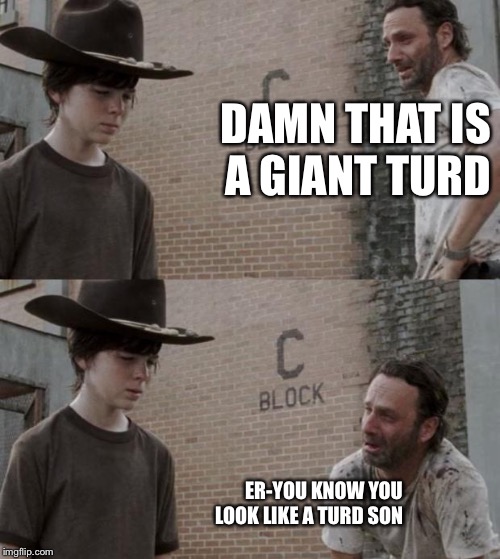 Rick and Carl Meme | DAMN THAT IS A GIANT TURD; ER-YOU KNOW YOU LOOK LIKE A TURD SON | image tagged in memes,rick and carl | made w/ Imgflip meme maker