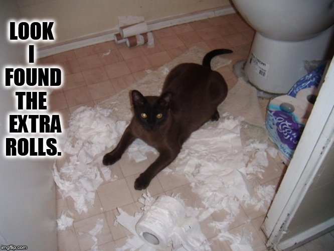 LOOK I  FOUND THE   EXTRA ROLLS. | made w/ Imgflip meme maker