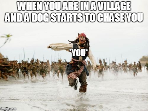 RUN | WHEN YOU ARE IN A VILLAGE AND A DOG STARTS TO CHASE YOU; *YOU* | image tagged in memes,jack sparrow being chased | made w/ Imgflip meme maker