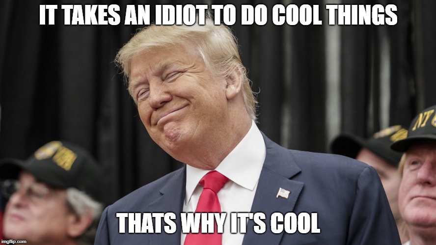 IT TAKES AN IDIOT TO DO COOL THINGS; THATS WHY IT'S COOL | image tagged in trump smile | made w/ Imgflip meme maker