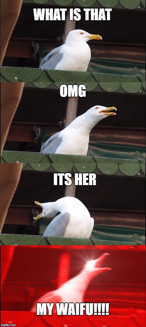 Inhaling Seagull Meme | WHAT IS THAT; OMG; ITS HER; MY WAIFU!!!! | image tagged in memes,inhaling seagull | made w/ Imgflip meme maker