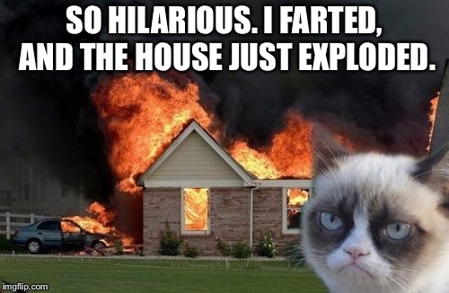 Burn Kitty | SO HILARIOUS. I FARTED, AND THE HOUSE JUST EXPLODED. | image tagged in memes,burn kitty,grumpy cat | made w/ Imgflip meme maker
