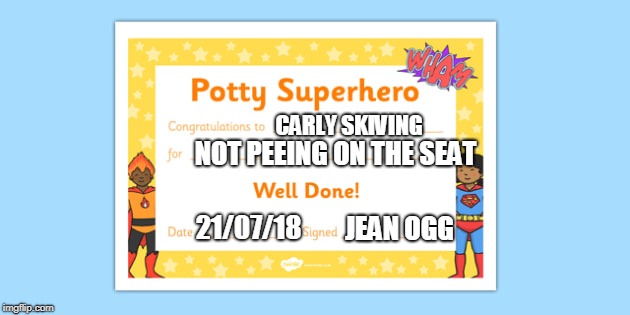 CARLY SKIVING; NOT PEEING ON THE SEAT; 21/07/18; JEAN OGG | image tagged in potty_ | made w/ Imgflip meme maker