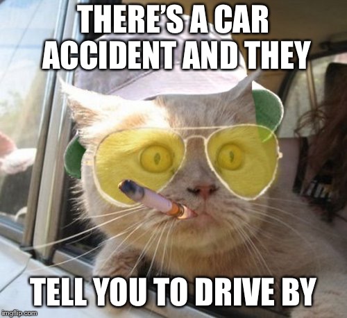 Fear And Loathing Cat | THERE’S A CAR ACCIDENT AND THEY; TELL YOU TO DRIVE BY | image tagged in memes,fear and loathing cat | made w/ Imgflip meme maker