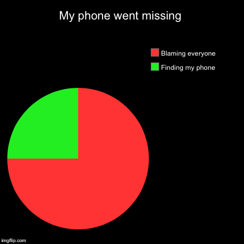 My phone went missing | Finding my phone, Blaming everyone | image tagged in funny,pie charts | made w/ Imgflip chart maker