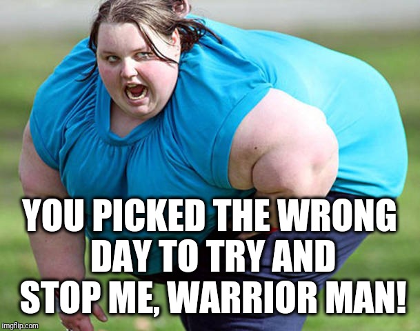 YOU PICKED THE WRONG DAY TO TRY AND STOP ME, WARRIOR MAN! | made w/ Imgflip meme maker