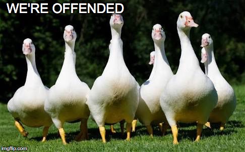 The Geese | WE'RE OFFENDED | image tagged in the geese | made w/ Imgflip meme maker