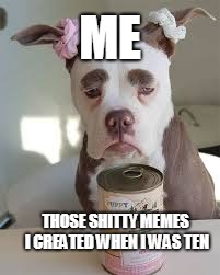 NO PLEASE | ME; THOSE SHITTY MEMES I CREATED WHEN I WAS TEN | image tagged in sad dog,mistakes | made w/ Imgflip meme maker