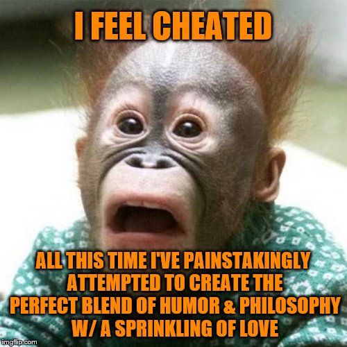 Shocked Monkey | I FEEL CHEATED ALL THIS TIME I'VE PAINSTAKINGLY ATTEMPTED TO CREATE THE PERFECT BLEND OF HUMOR & PHILOSOPHY W/ A SPRINKLING OF LOVE | image tagged in shocked monkey | made w/ Imgflip meme maker