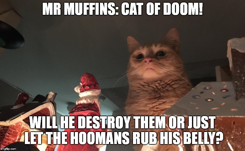Cat of Doom! | MR MUFFINS: CAT OF DOOM! WILL HE DESTROY THEM OR JUST LET THE HOOMANS RUB HIS BELLY? | image tagged in cat | made w/ Imgflip meme maker