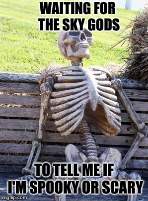 Is this dude Spooky or Scary? | WAITING FOR THE SKY GODS; TO TELL ME IF I'M SPOOKY OR SCARY | image tagged in memes,waiting skeleton | made w/ Imgflip meme maker