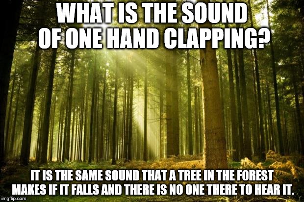 sunlit forest | WHAT IS THE SOUND OF ONE HAND CLAPPING? IT IS THE SAME SOUND THAT A TREE IN THE FOREST MAKES IF IT FALLS AND THERE IS NO ONE THERE TO HEAR IT. | image tagged in sunlit forest | made w/ Imgflip meme maker
