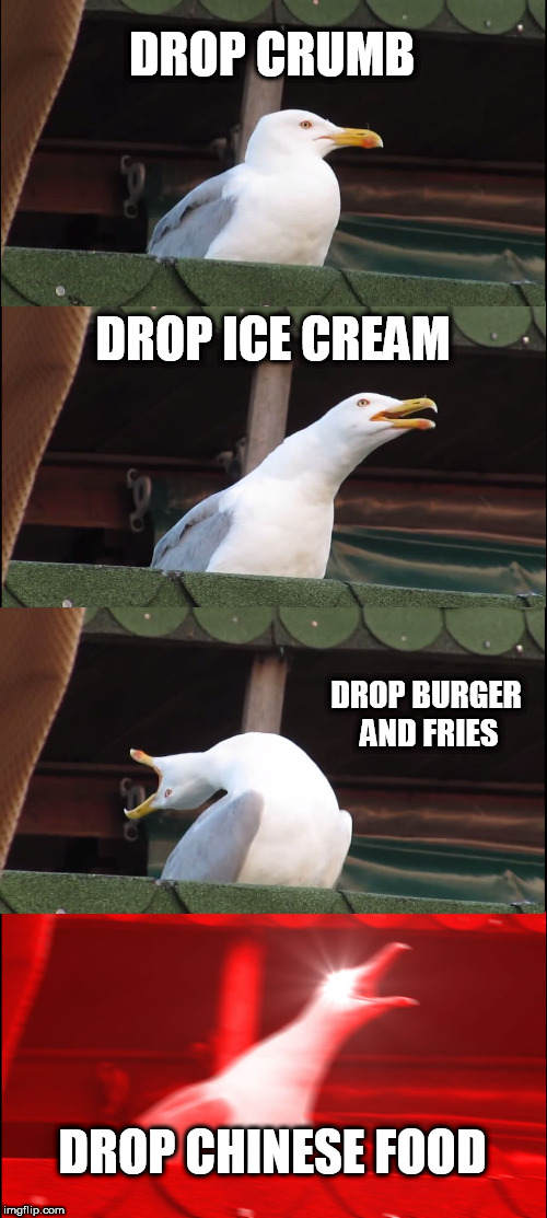 Inhaling Seagull | DROP CRUMB; DROP ICE CREAM; DROP BURGER AND FRIES; DROP CHINESE FOOD | image tagged in memes,inhaling seagull | made w/ Imgflip meme maker