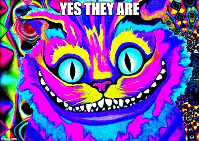YES THEY ARE | made w/ Imgflip meme maker