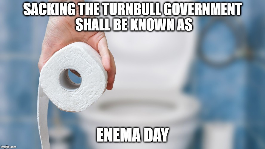 SACKING THE TURNBULL GOVERNMENT SHALL BE KNOWN AS; ENEMA DAY | image tagged in dunny | made w/ Imgflip meme maker