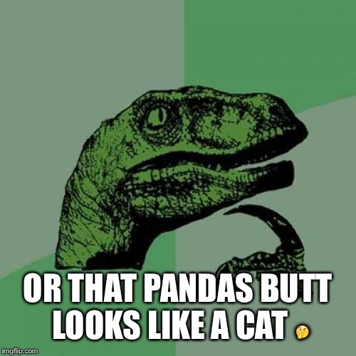 Philosoraptor Meme | OR THAT PANDAS BUTT LOOKS LIKE A CAT 🤔 | image tagged in memes,philosoraptor | made w/ Imgflip meme maker