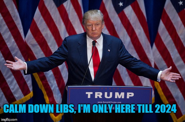 Donald Trump | CALM DOWN LIBS, I'M ONLY HERE TILL 2024 | image tagged in donald trump | made w/ Imgflip meme maker