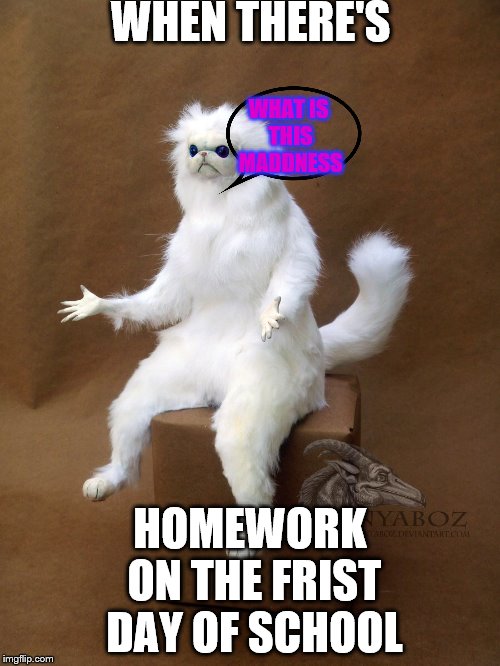 Persian Cat Room Guardian Single Meme | WHEN THERE'S; WHAT IS THIS MADDNESS; HOMEWORK ON THE FRIST DAY OF SCHOOL | image tagged in memes,persian cat room guardian single | made w/ Imgflip meme maker