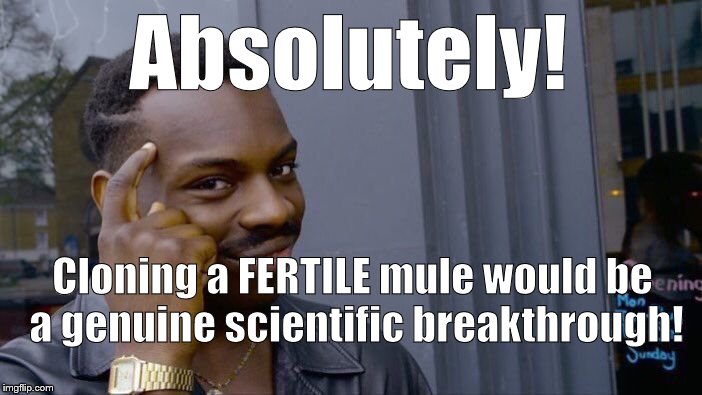 Roll Safe Think About It Meme | Absolutely! Cloning a FERTILE mule would be a genuine scientific breakthrough! | image tagged in memes,roll safe think about it | made w/ Imgflip meme maker