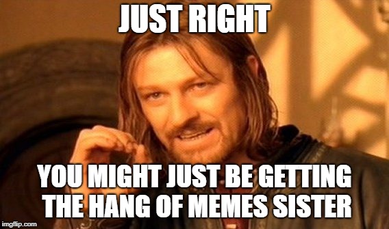 One Does Not Simply Meme | JUST RIGHT YOU MIGHT JUST BE GETTING THE HANG OF MEMES SISTER | image tagged in memes,one does not simply | made w/ Imgflip meme maker