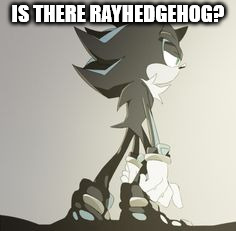 Annoyed Mephiles | IS THERE RAYHEDGEHOG? | image tagged in annoyed mephiles | made w/ Imgflip meme maker