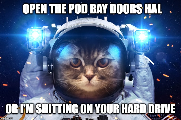 OPEN THE POD BAY DOORS HAL; OR I'M SHITTING ON YOUR HARD DRIVE | image tagged in cat,astronaut,2001 a space odyssey,stanley kubrick,grumpy cat,hard drive | made w/ Imgflip meme maker