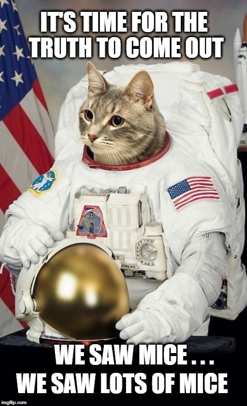 IT'S TIME FOR THE TRUTH TO COME OUT; WE SAW MICE . . . WE SAW LOTS OF MICE | image tagged in astronaut,cat,conspiracy,the truth,mice,stanley kubrick | made w/ Imgflip meme maker