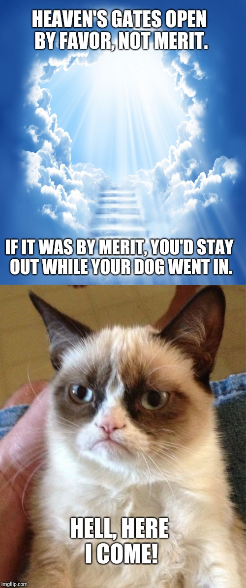 Ephesians 2:8 | HEAVEN'S GATES OPEN BY FAVOR, NOT MERIT. IF IT WAS BY MERIT, YOU'D STAY OUT WHILE YOUR DOG WENT IN. HELL, HERE I COME! | image tagged in grumpy cat,religion,funny,funny memes | made w/ Imgflip meme maker