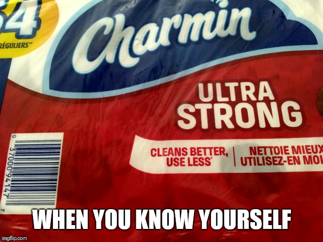 WHEN YOU KNOW YOURSELF | image tagged in toilet paper | made w/ Imgflip meme maker