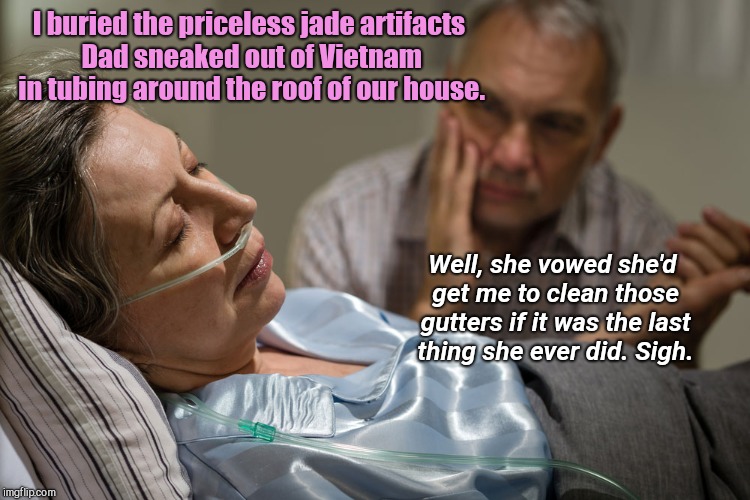 Death bed confession | I buried the priceless jade artifacts Dad sneaked out of Vietnam in tubing around the roof of our house. Well, she vowed she'd get me to clean those gutters if it was the last thing she ever did. Sigh. | image tagged in death bed confession,humor,marriage | made w/ Imgflip meme maker