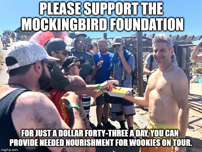 Feed-a-wook | PLEASE SUPPORT THE MOCKINGBIRD FOUNDATION; FOR JUST A DOLLAR FORTY-THREE A DAY, YOU CAN PROVIDE NEEDED NOURISHMENT FOR WOOKIES ON TOUR. | image tagged in gordo,phish,gorge,mockingbird | made w/ Imgflip meme maker