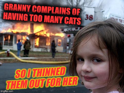 Disaster Girl Meme | GRANNY COMPLAINS OF HAVING TOO MANY CATS SO I THINNED THEM OUT FOR HER | image tagged in memes,disaster girl | made w/ Imgflip meme maker