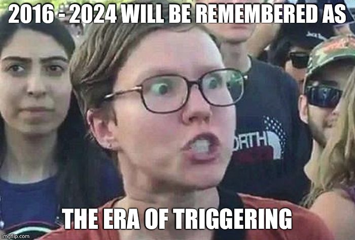 Triggered Liberal | 2016 - 2024 WILL BE REMEMBERED AS THE ERA OF TRIGGERING | image tagged in triggered liberal | made w/ Imgflip meme maker