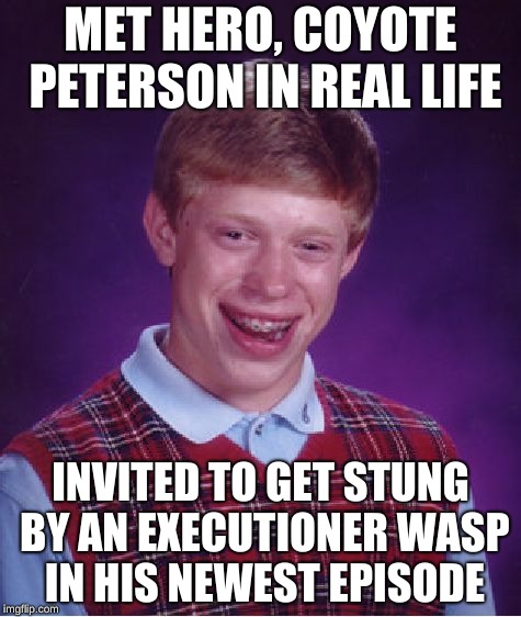 Sorry, but NOPE. | MET HERO, COYOTE PETERSON IN REAL LIFE; INVITED TO GET STUNG BY AN EXECUTIONER WASP IN HIS NEWEST EPISODE | image tagged in memes,bad luck brian | made w/ Imgflip meme maker