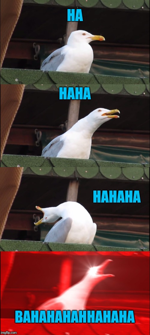 Inhaling Seagull Meme | HA HAHA HAHAHA BAHAHAHAHHAHAHA | image tagged in memes,inhaling seagull | made w/ Imgflip meme maker